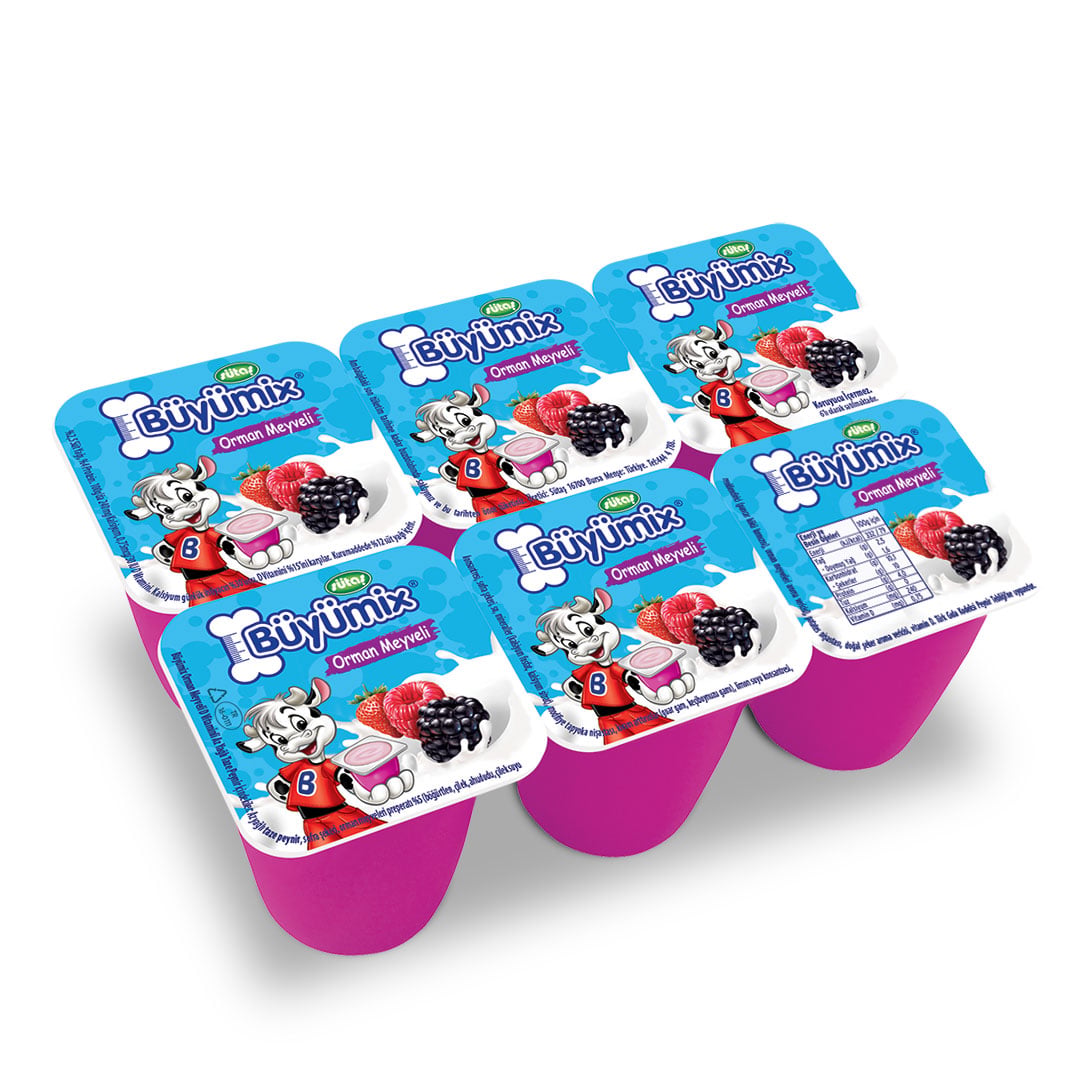 Sütaş Büyümix Orman Meyveli 6x40 g